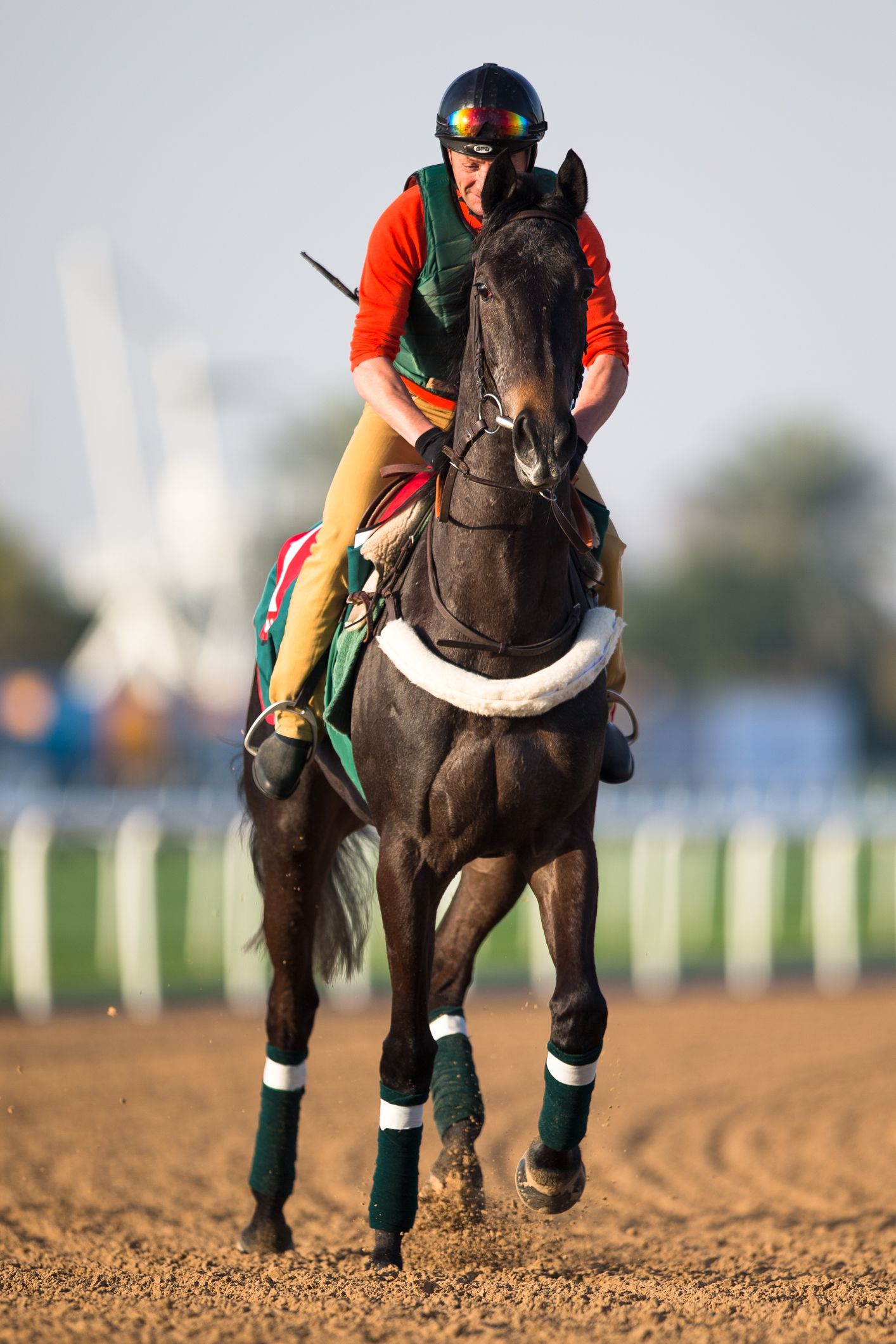 Vazirabad trains at Dubai in March 2016