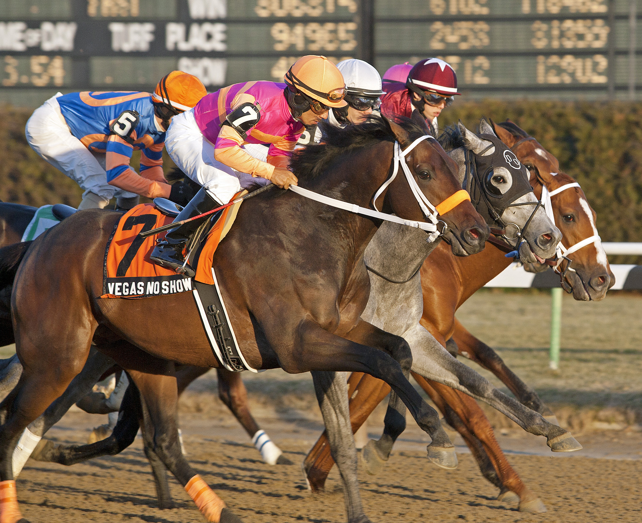 Vegas No Show, Jerome Stakes