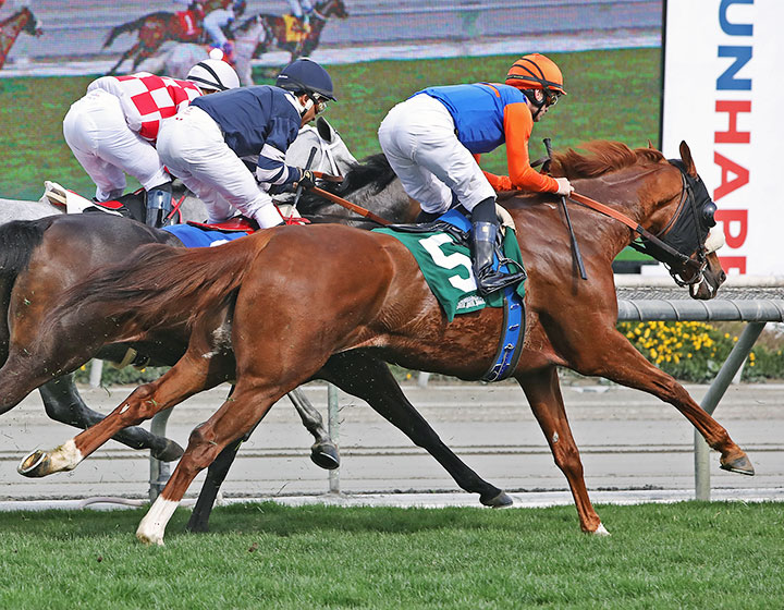 Vegas Palm finishes fourth in a Feb. 22 maiden race at Santa Anita Park