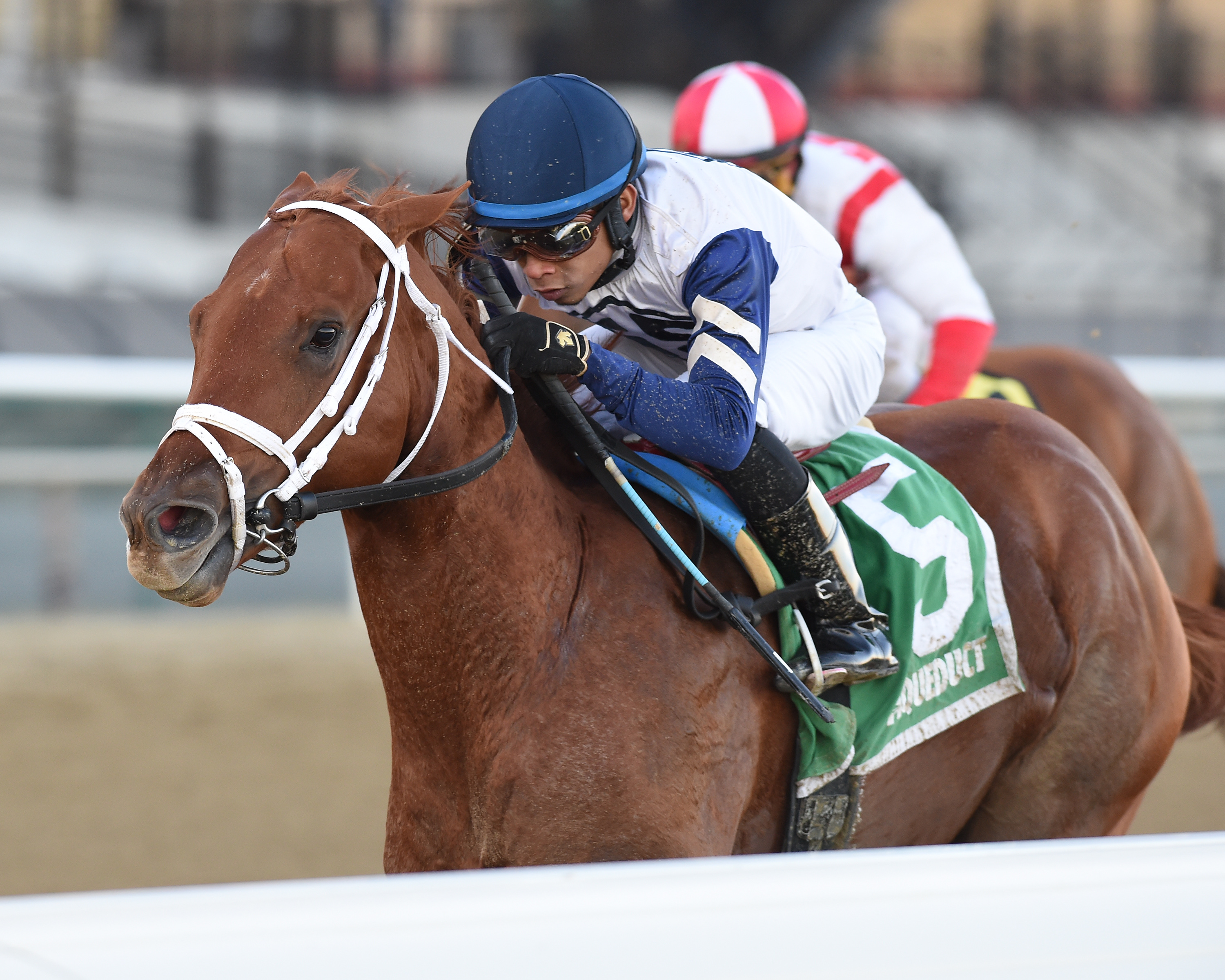 Vekoma wins 2018 Nashua Stakes