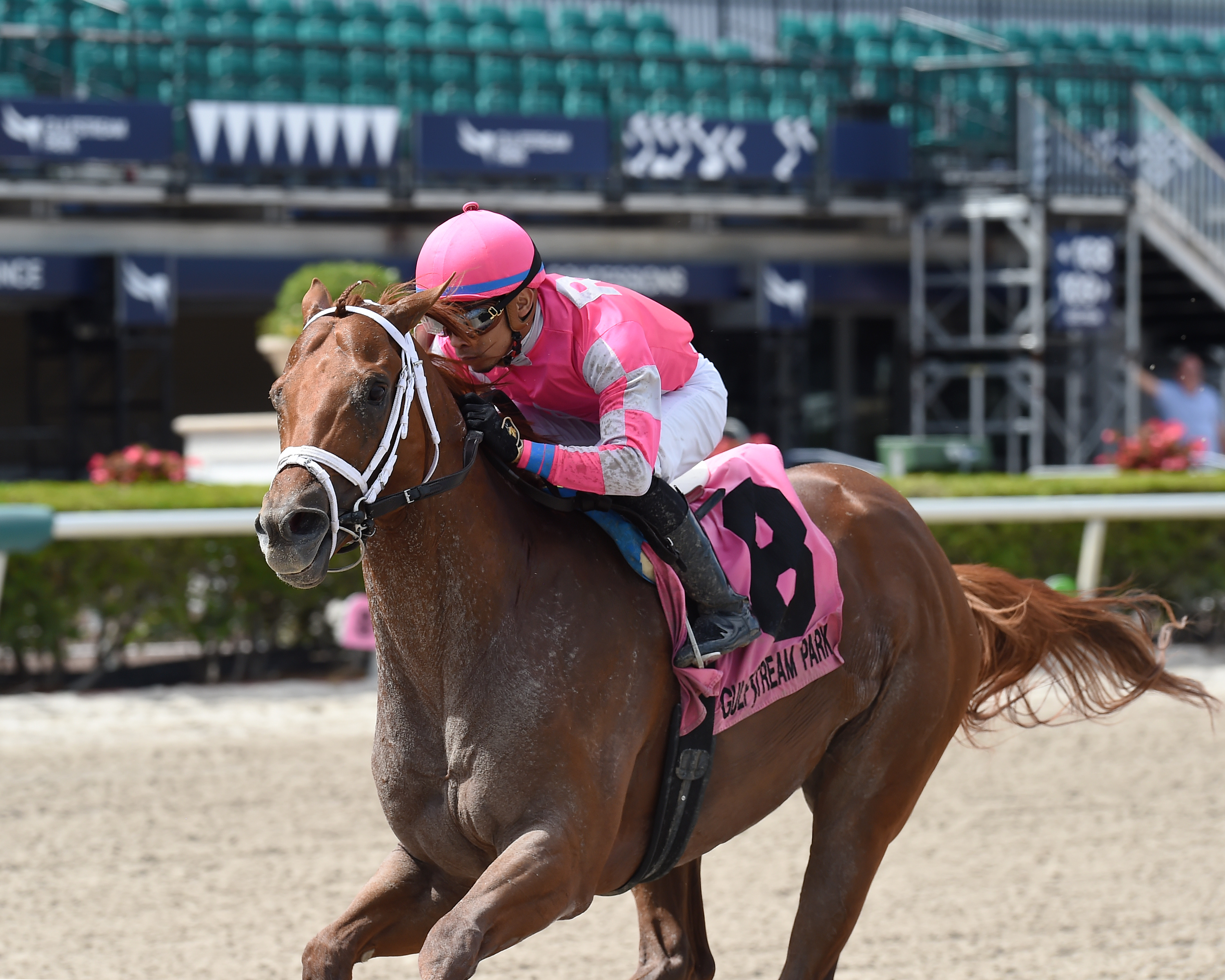 Vekoma wins the 2020 Sir Shackleton Stakes