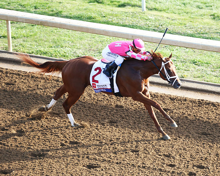 Vekoma wins the 2019 Blue Grass Stakes