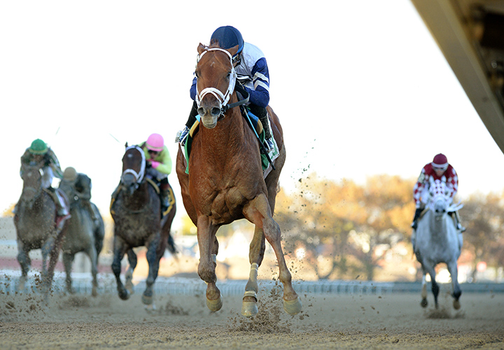 Vekoma wins the 2018 Nashua Stakes