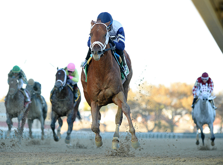 Vekoma wins the 2018 Nashua Stakes