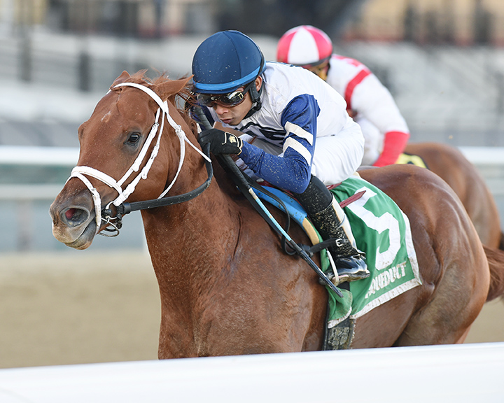 Vekoma wins the 2018 Nashua Stakes