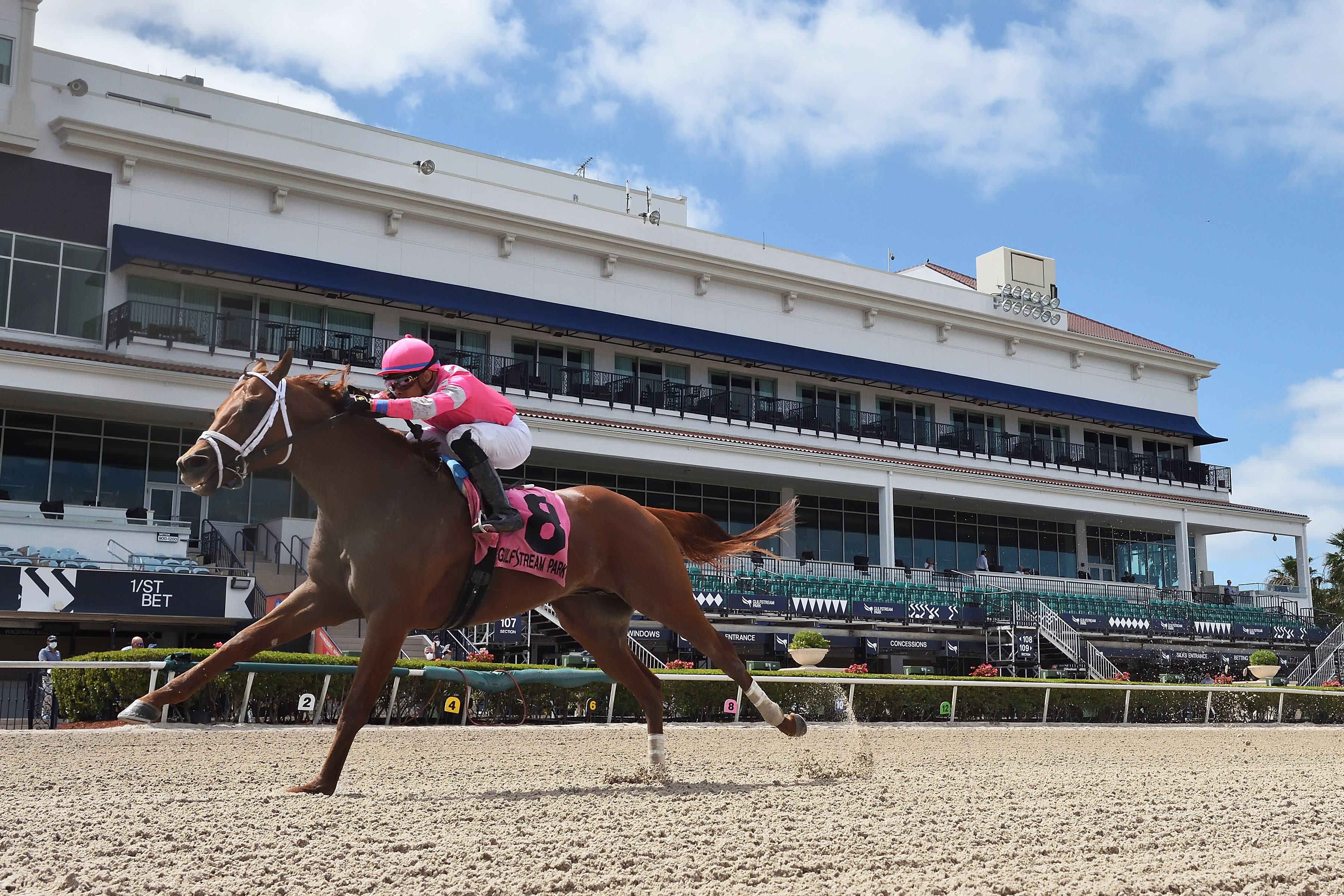 Vekoma wins the 2020 Sir Shackleton Stakes at Gulfstream Park