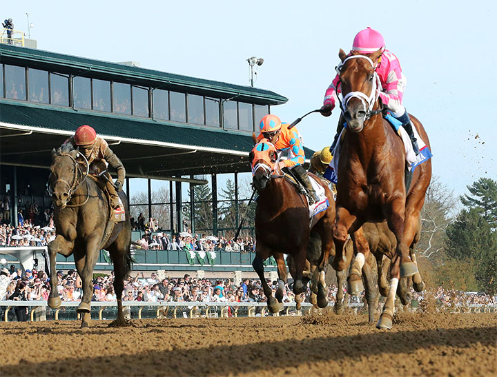 Vekoma wins the 2019 Blue Grass