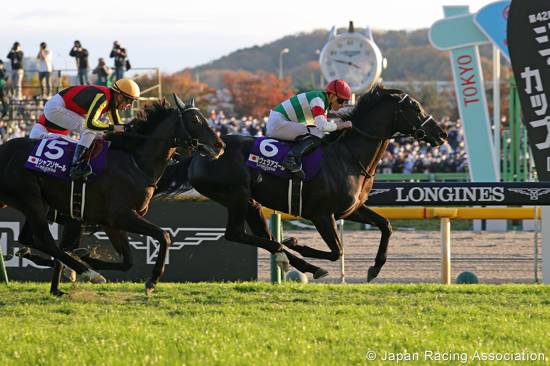 Vela Azul brilla en la Japan Cup