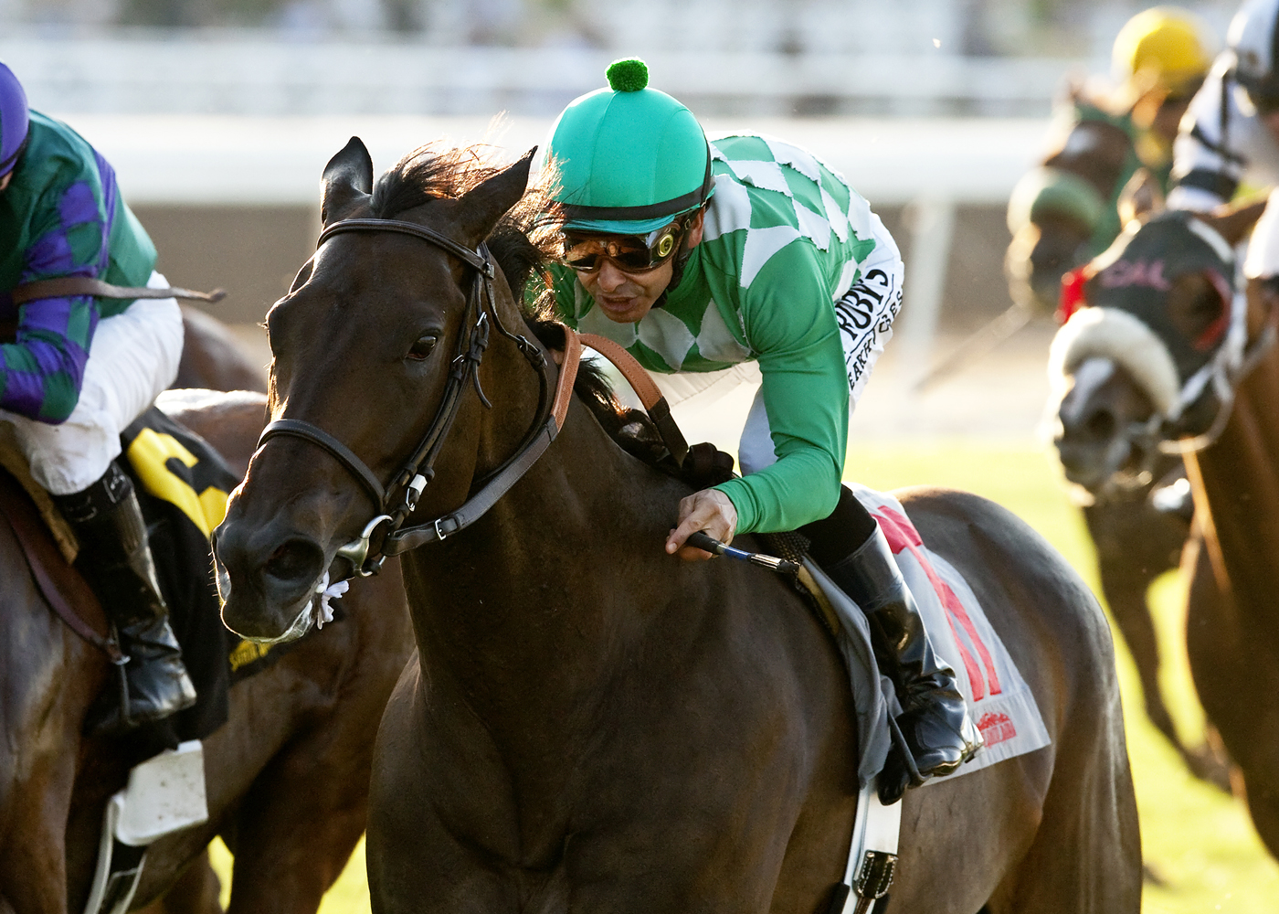 Velvet Mesquite wins 2014 California Distaff