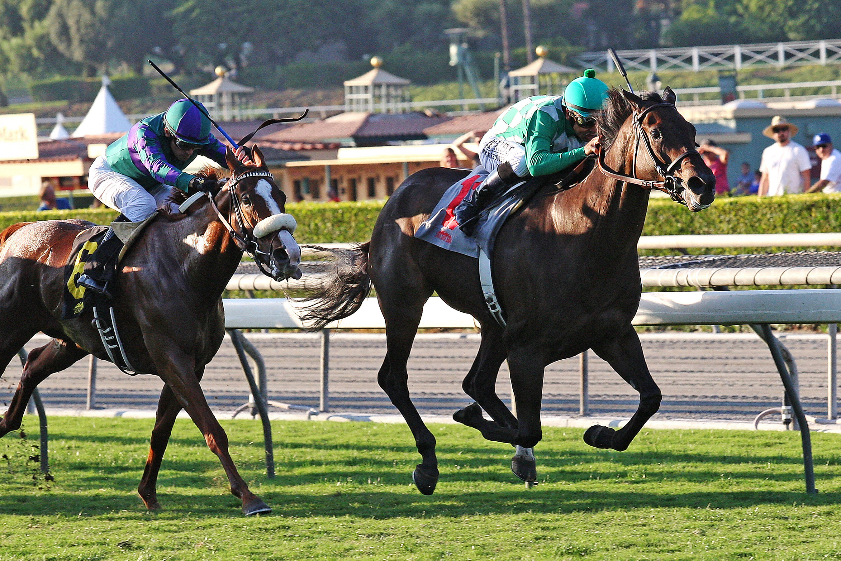 Velvet Mesquite wins the California Distaff