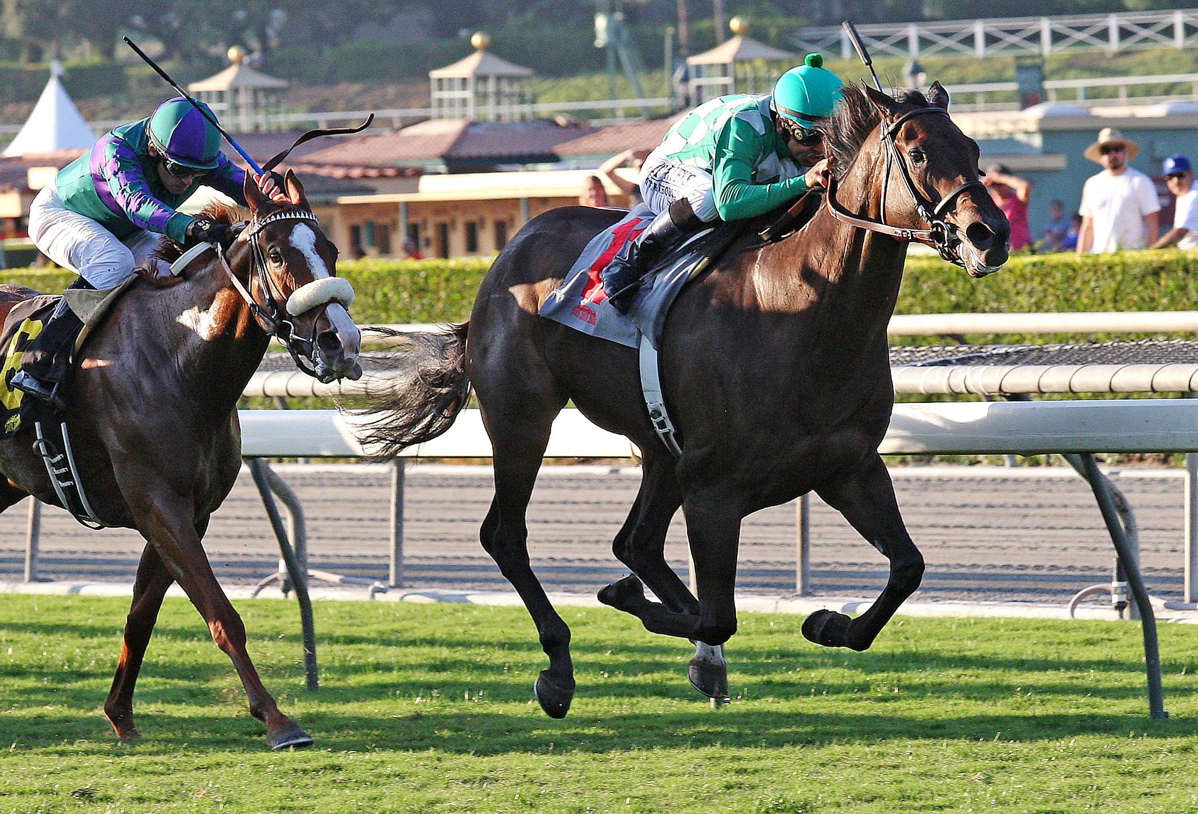 Velvet Mesquite wins the California Distaff