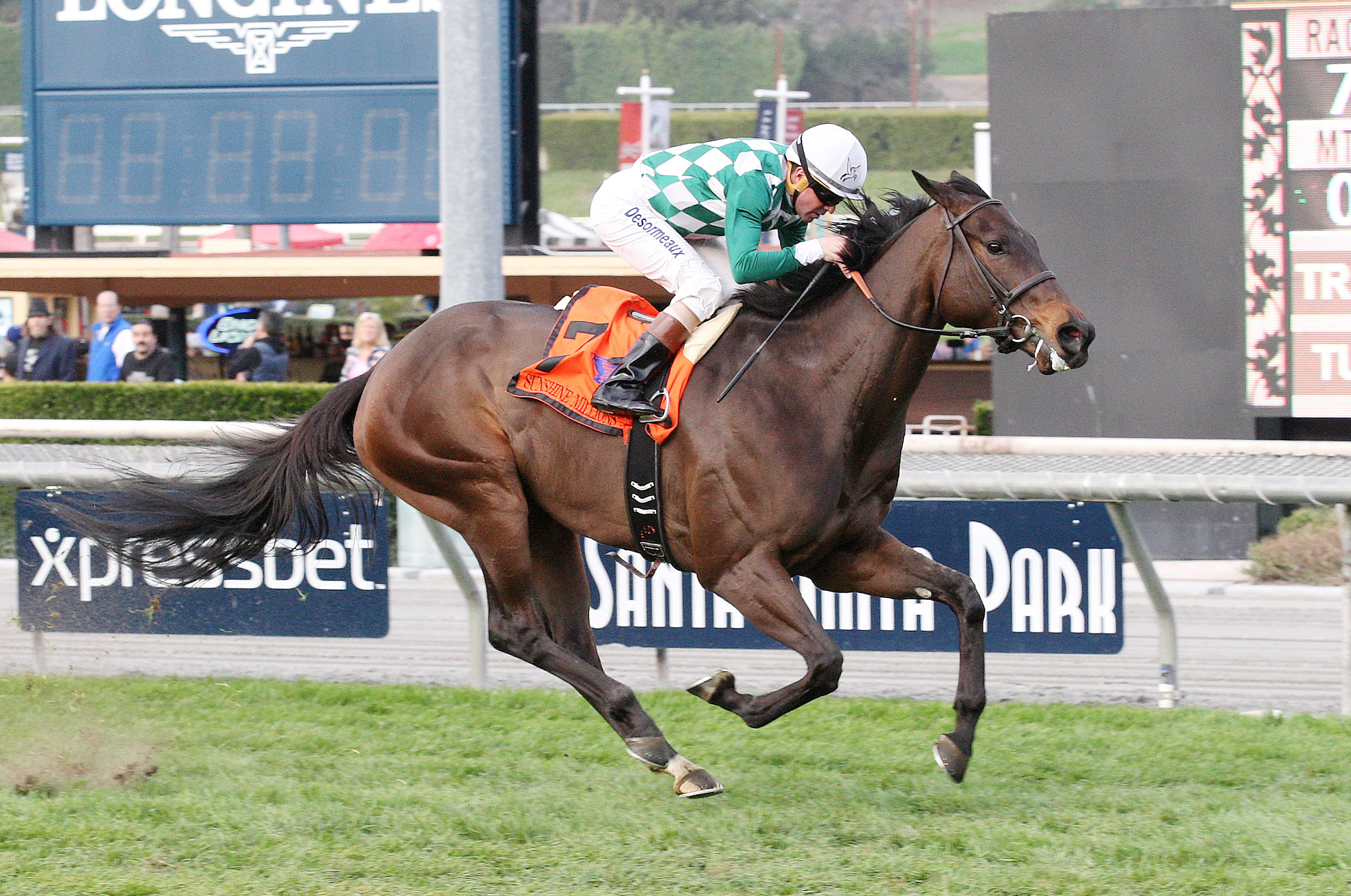 Velvet Mesquite wins the Sunshine Millions Filly and Mare Turf Sprint