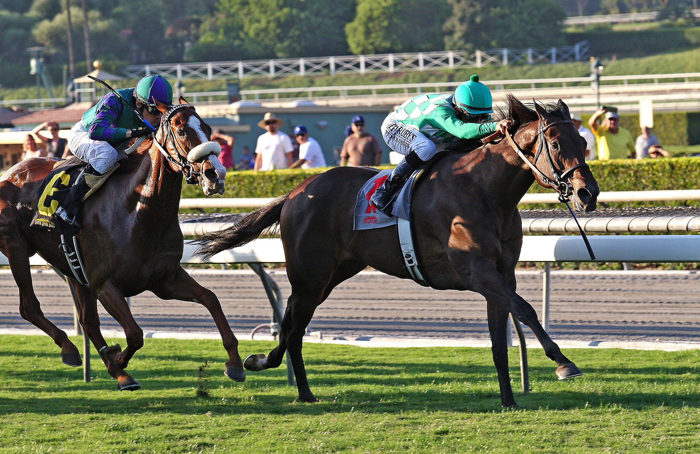 Velvet Mesquite wins the California Distaff