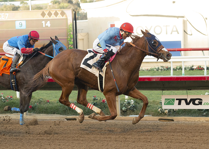 Velvet Queen wins a Nov. 22 allowance race at Del Mar