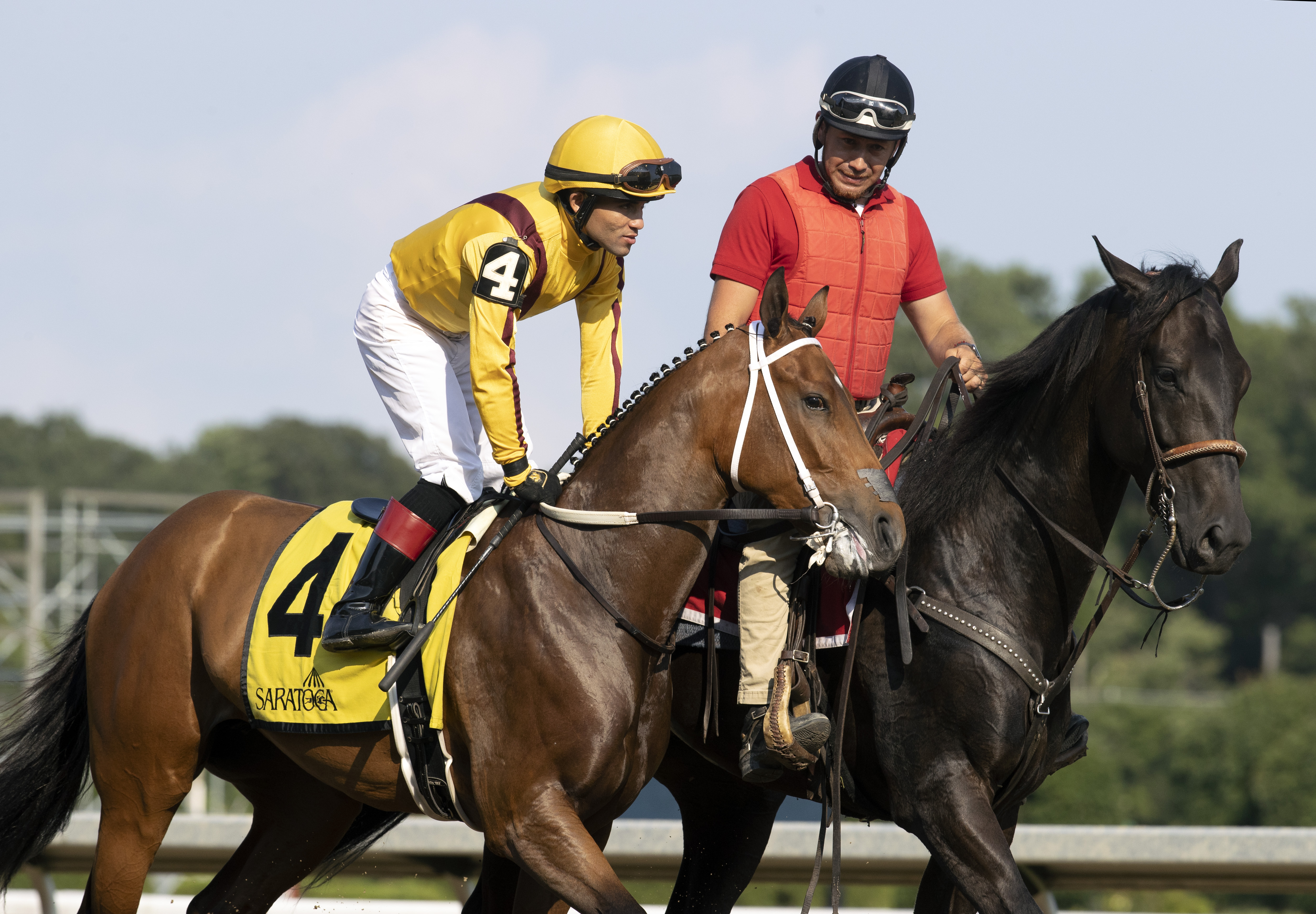 Velvet Sister, Schuylerville