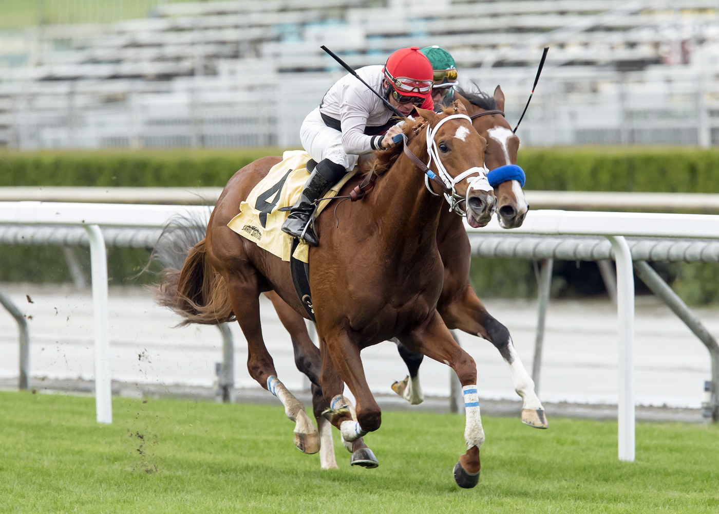 Vending Machine wins the Eddie Logan Stakes