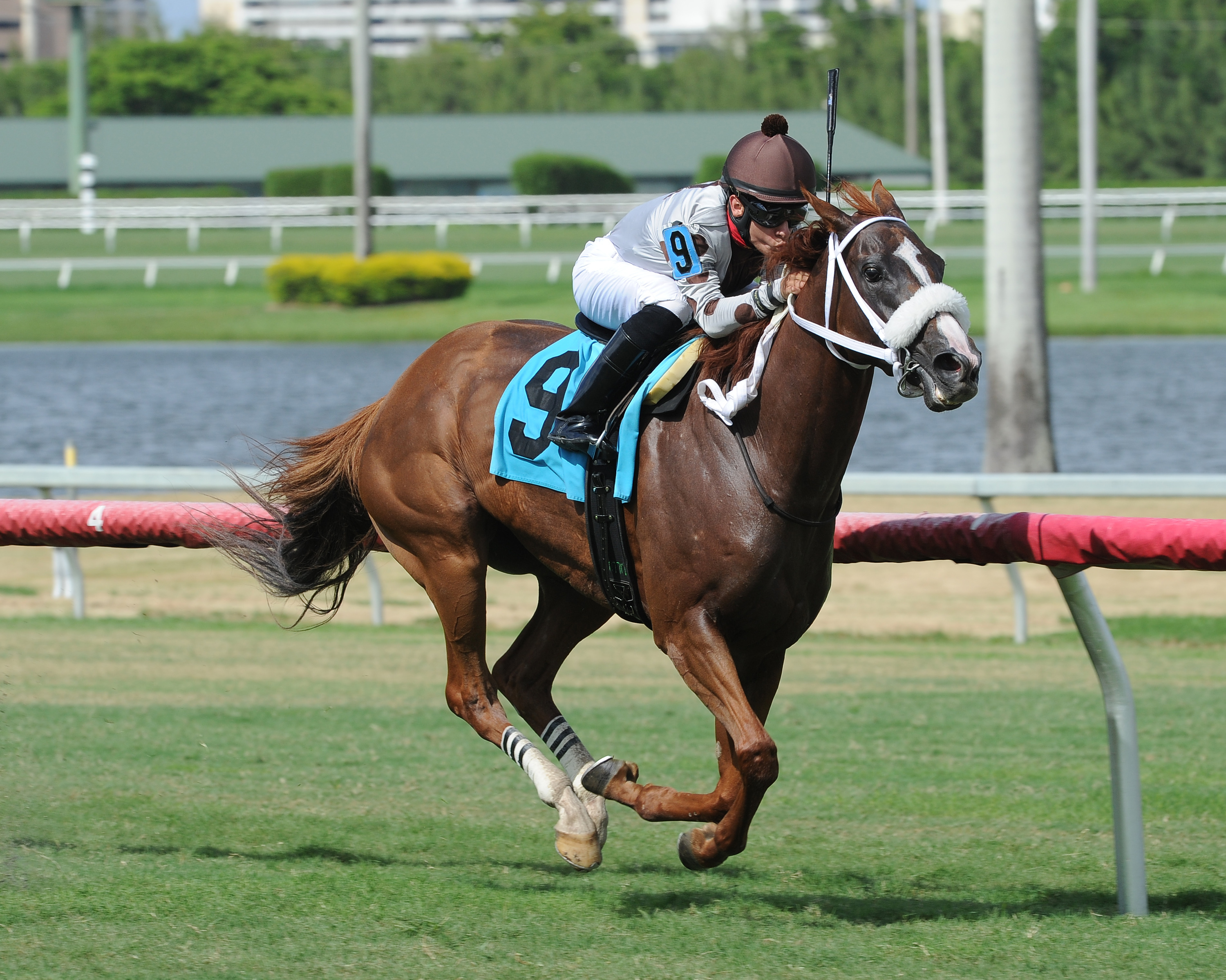 Vendita wins an allowance race
