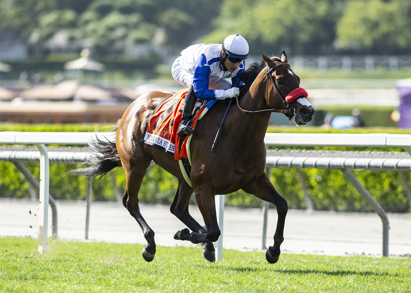 Venetian Harbor wins Monrovia Stakes 6-5-2021