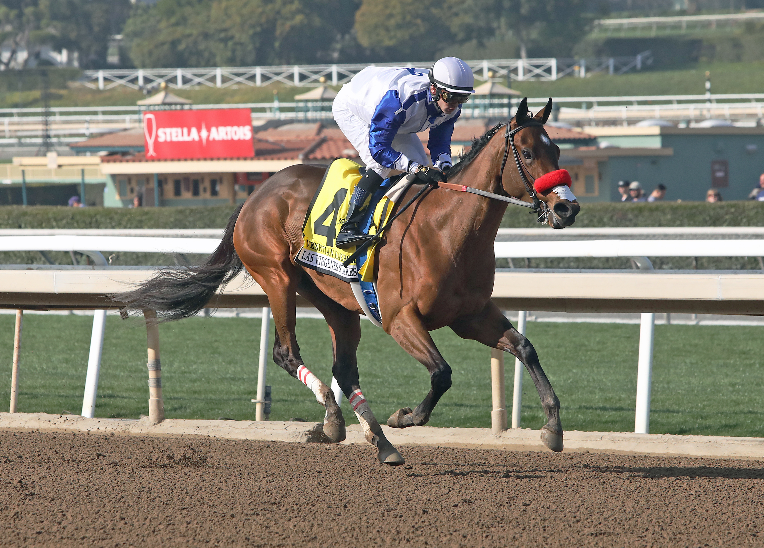 Venetian Harbor wins the 2020 Las Virgenes Stakes