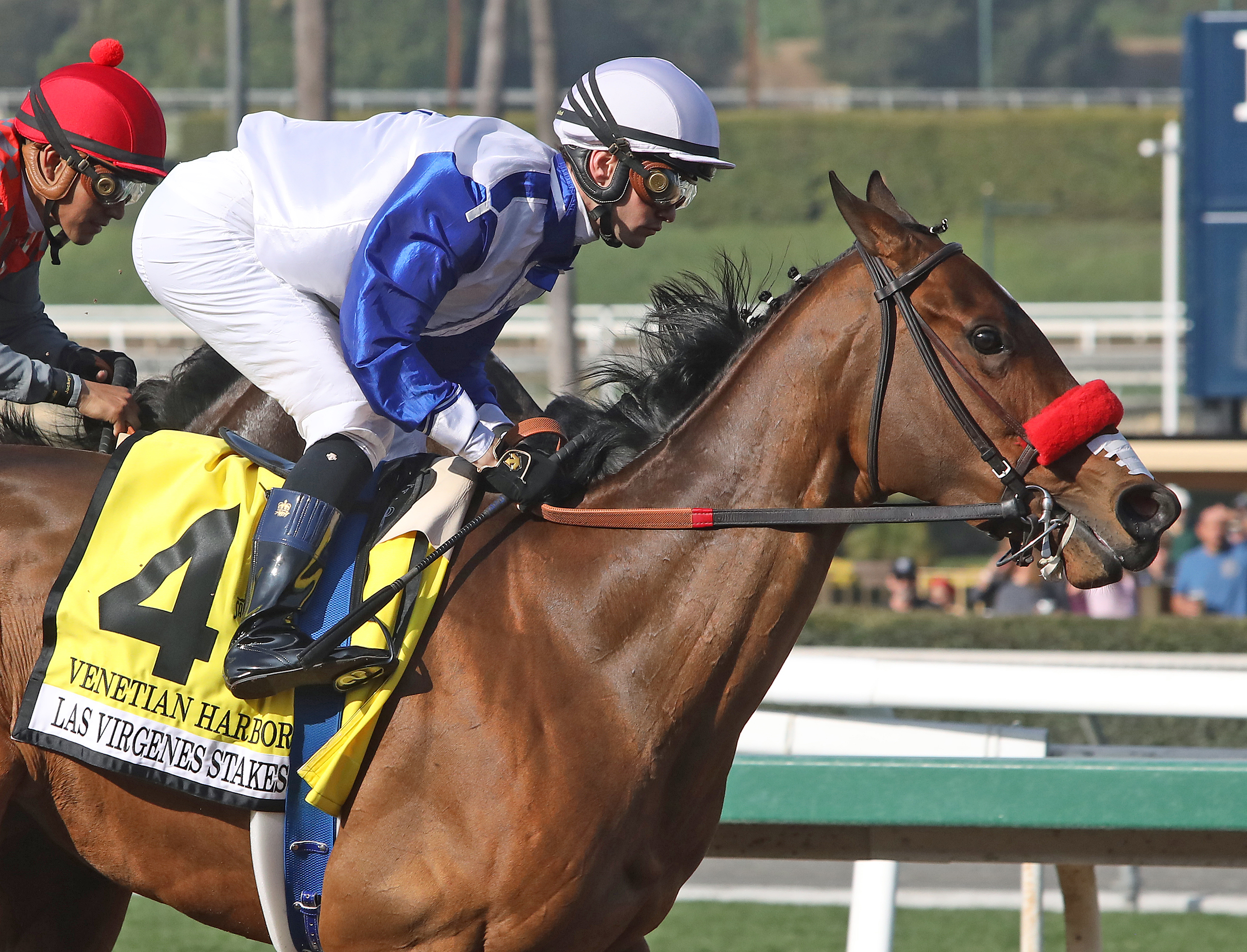 Venetian Harbor wins the 2020 Las Virgenes Stakes