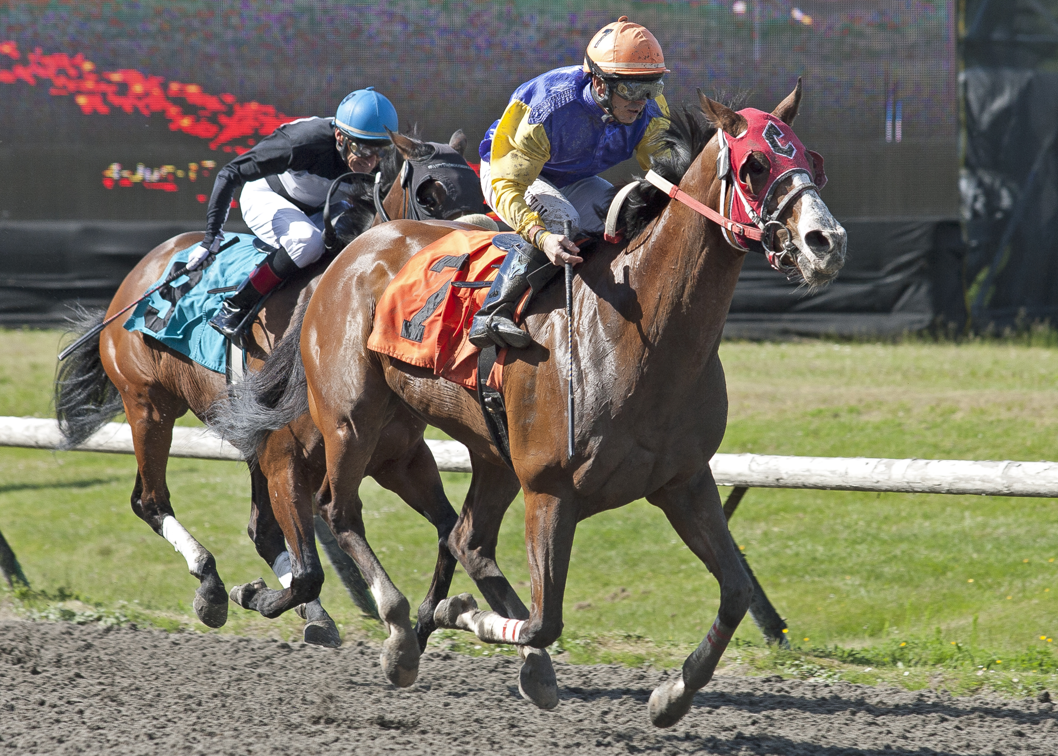 Venetian Mask wins the John Longden Stakes