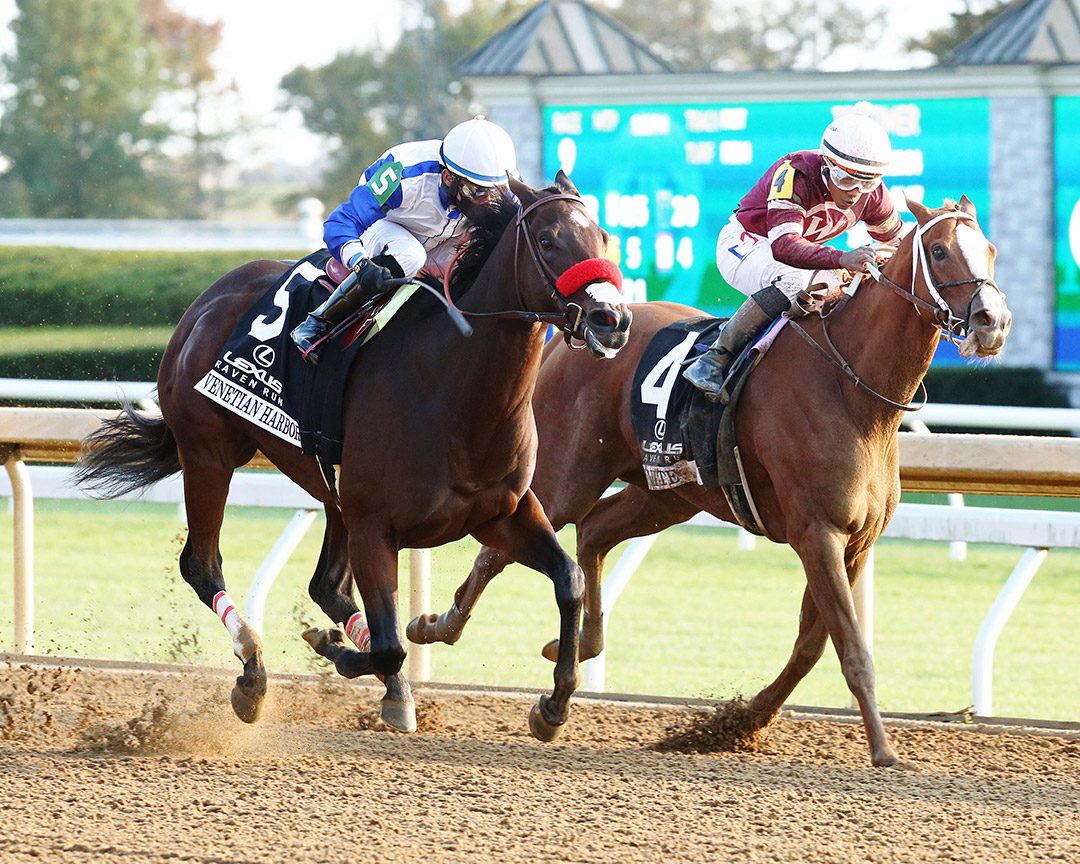 Finite (right) finishes second to Venetian Harbor in the 2020 Raven Run at Keeneland
