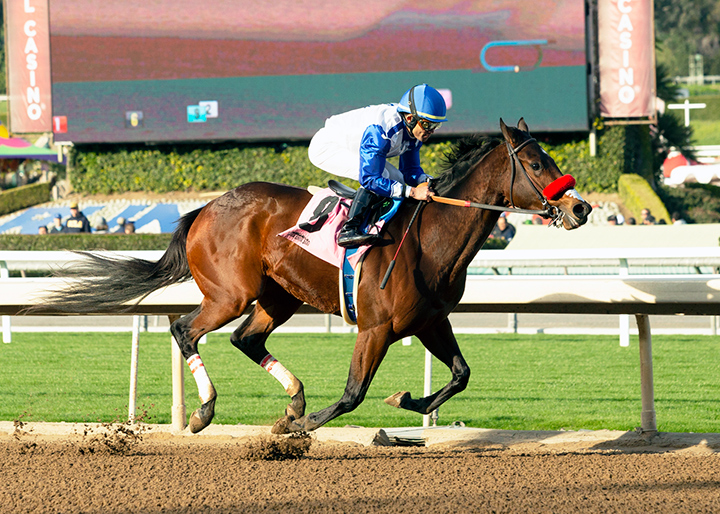 Venetian Harbor wins a Dec. 29 maiden race at Santa Anita