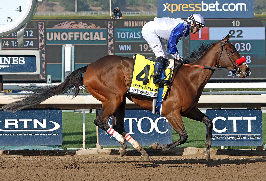 Venetian Harbor wins the Las Virgenes Stakes at Santa Anita Park