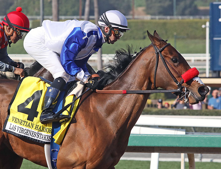 Venetian Harbor wins the 2020 Las Virgenes Stakes at Santa Anita Park