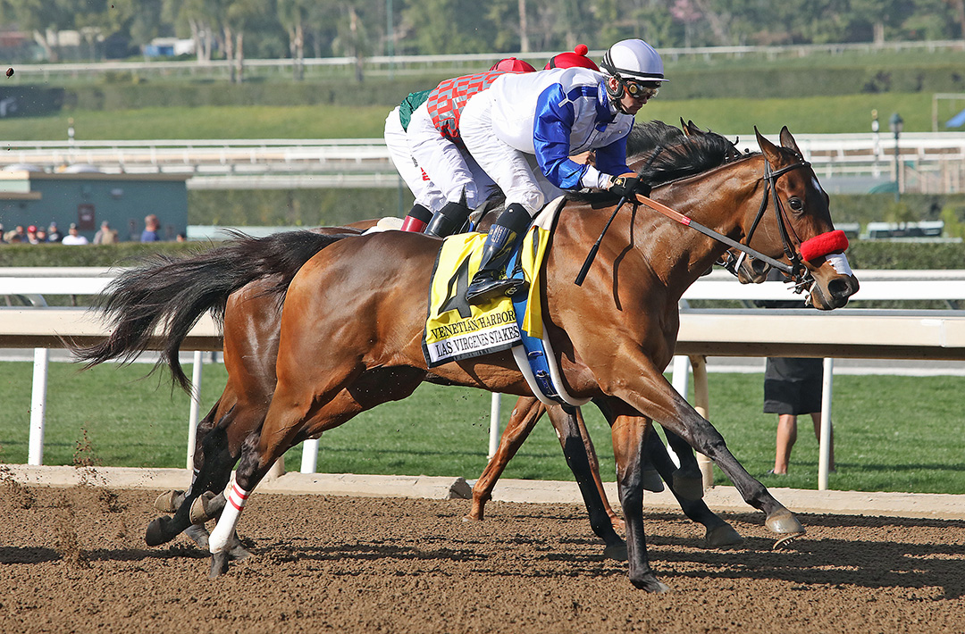 Venetian Harbor wins the 2020 Las Virgenes Stakes at Santa Anita Park