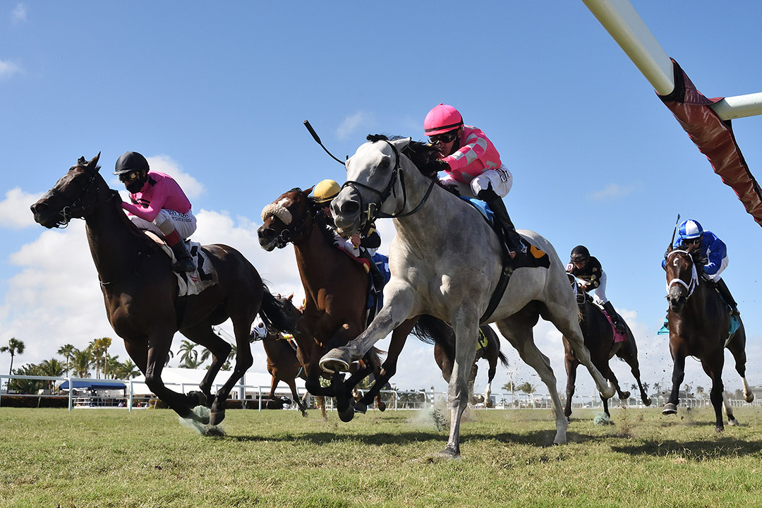 Venezuelan Hug (right) wins the 2021 Canadian Turf at Gulfstream Park