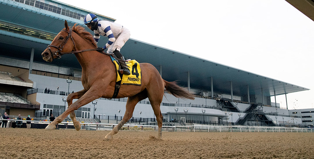 Venti Valentine wins the 2022 Busher Stakes at Aqueduct Racetrack