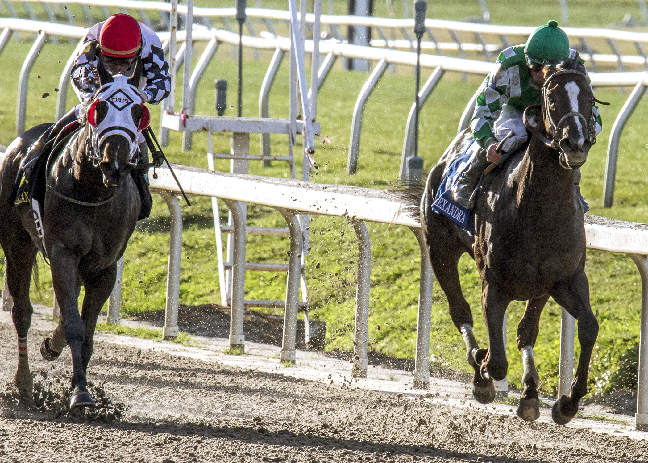 Midnight on Oconee finishes second in the Rachel Alexandra