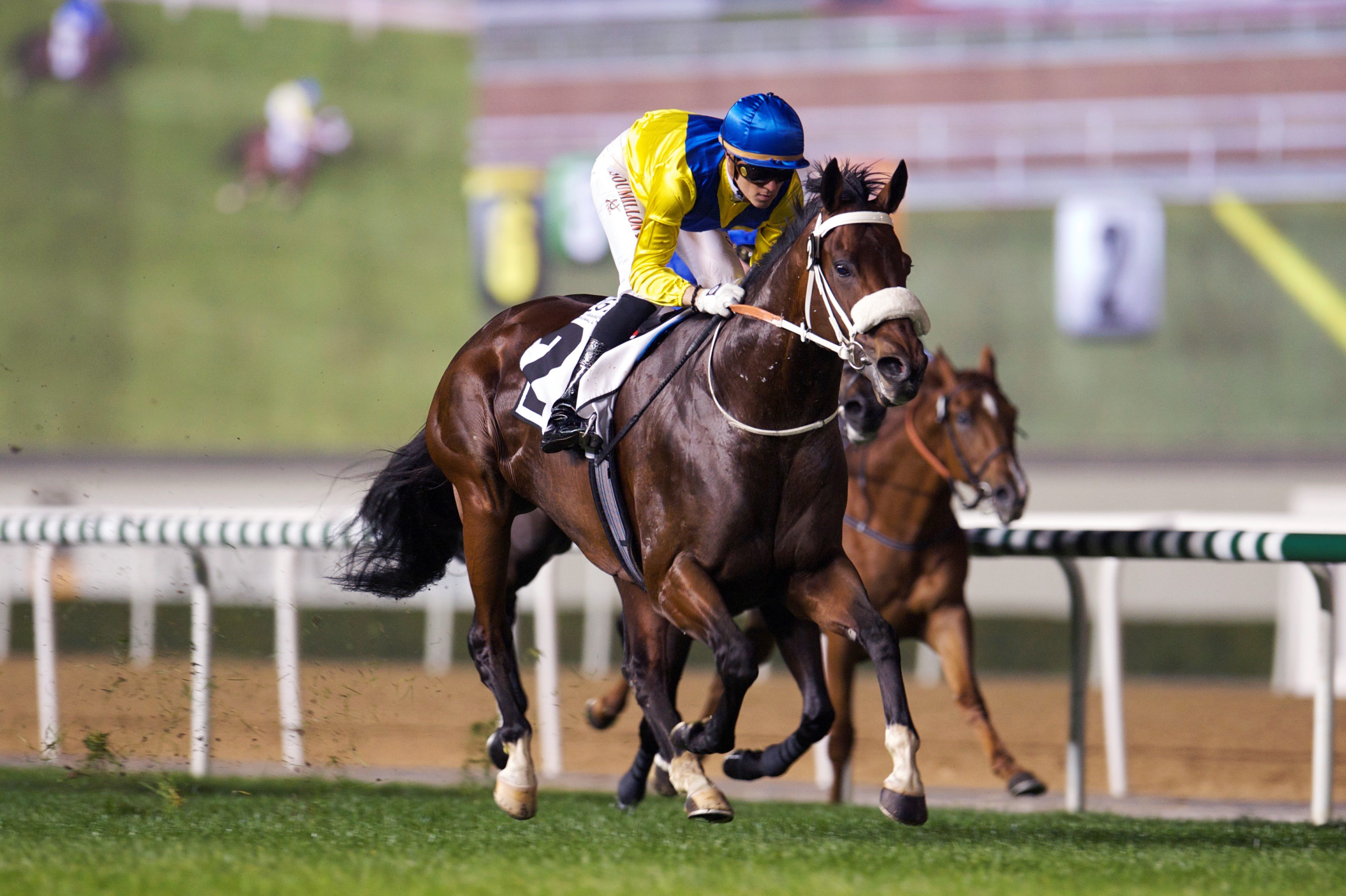 Vercingetorix wins the Al Rashidiya