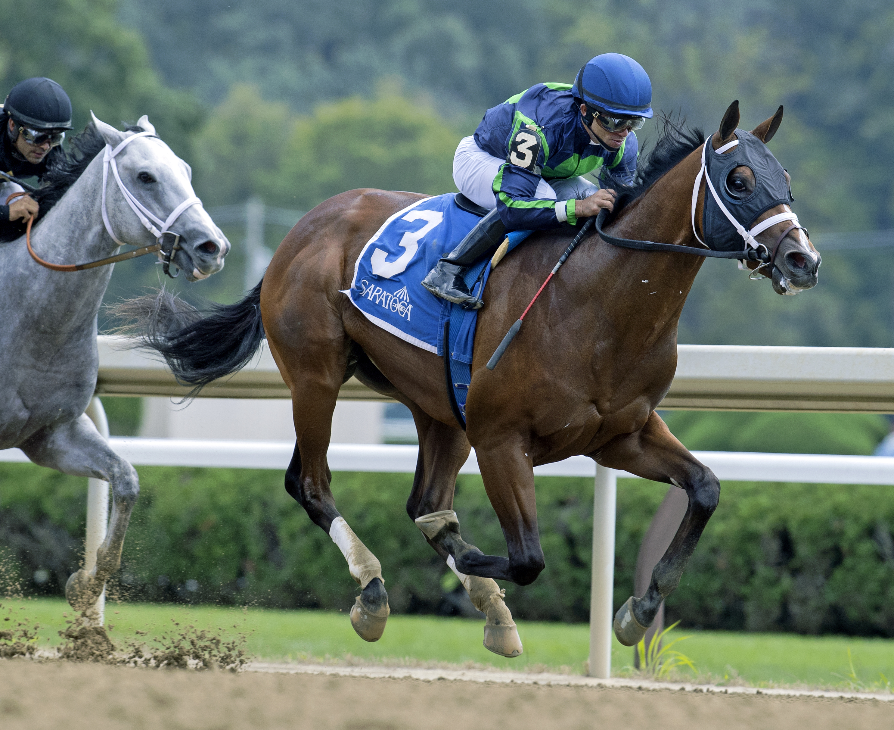 Verifying - Saratoga