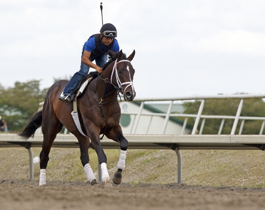 Verrazano