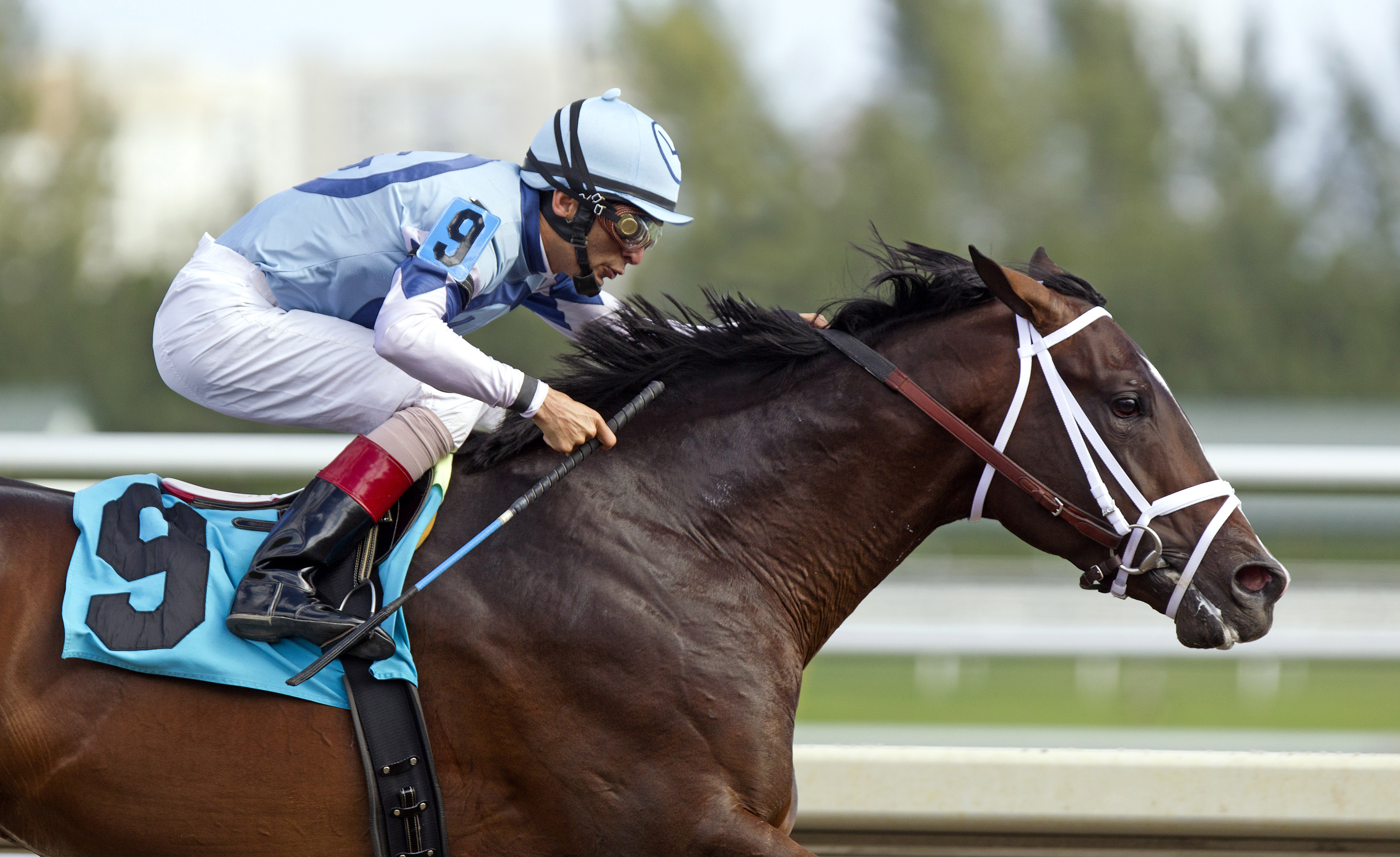 Verrazano, maiden win