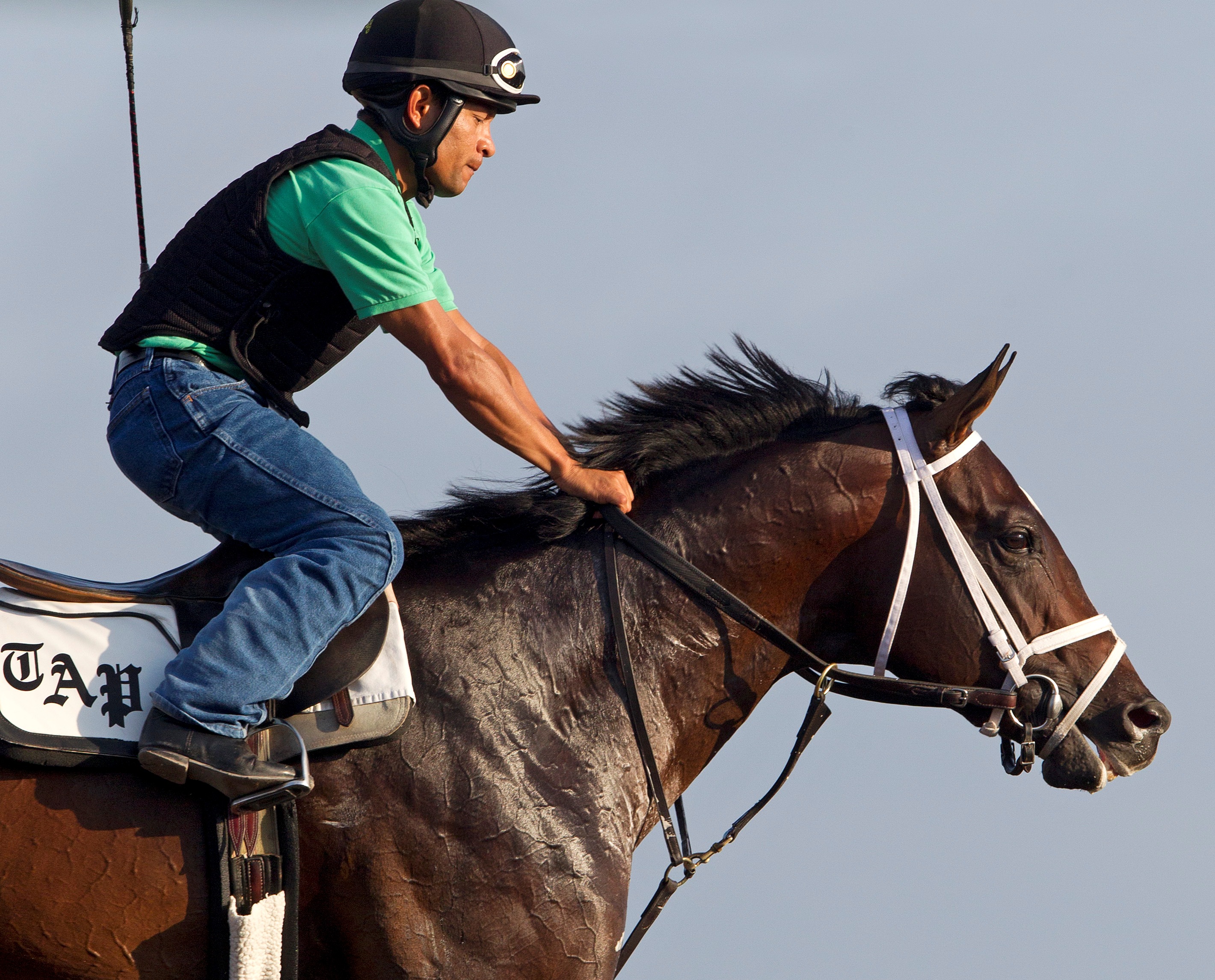Verrazano, Feb. 8, 2013