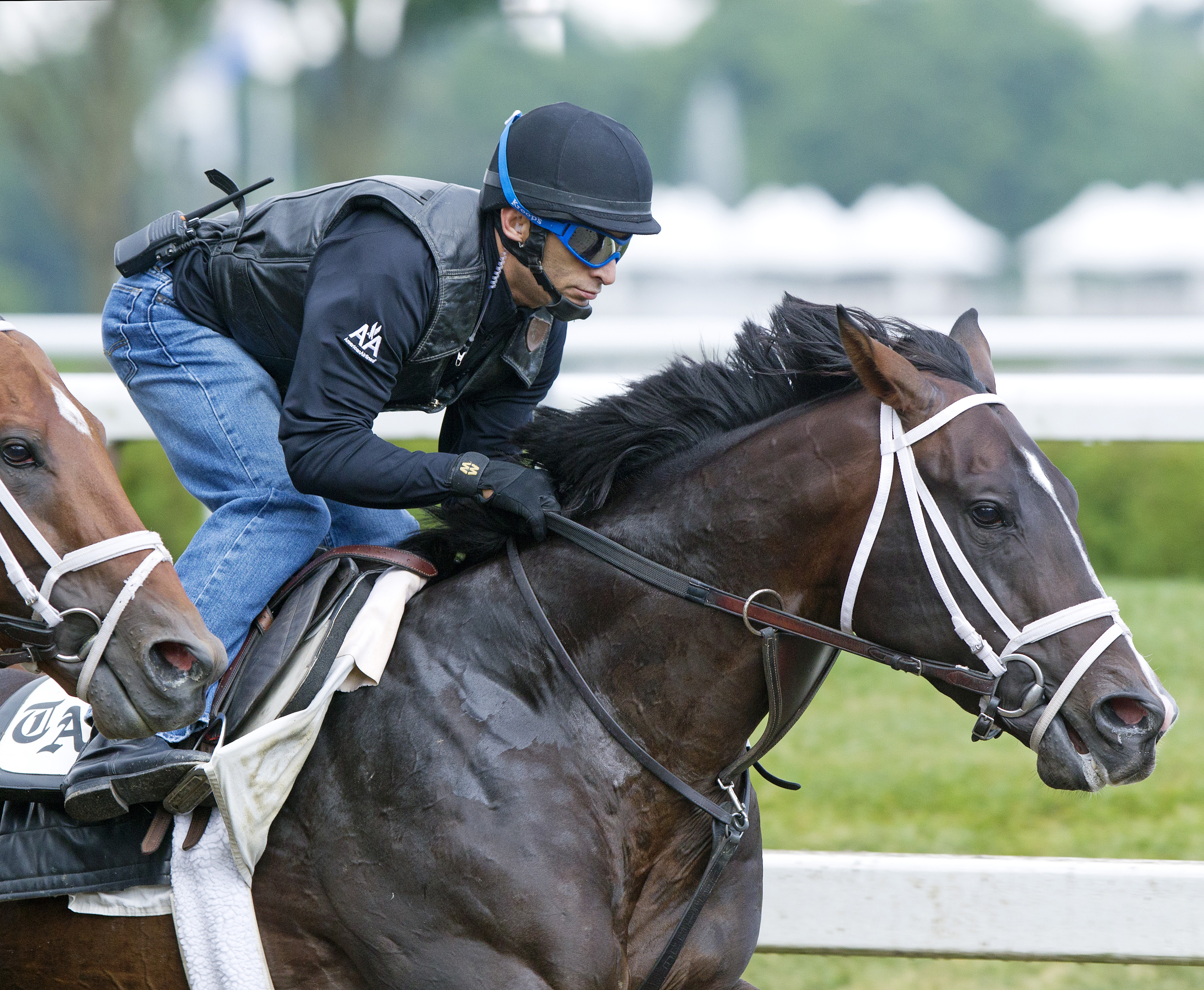 Verrazano training at Saratoga on July 22
