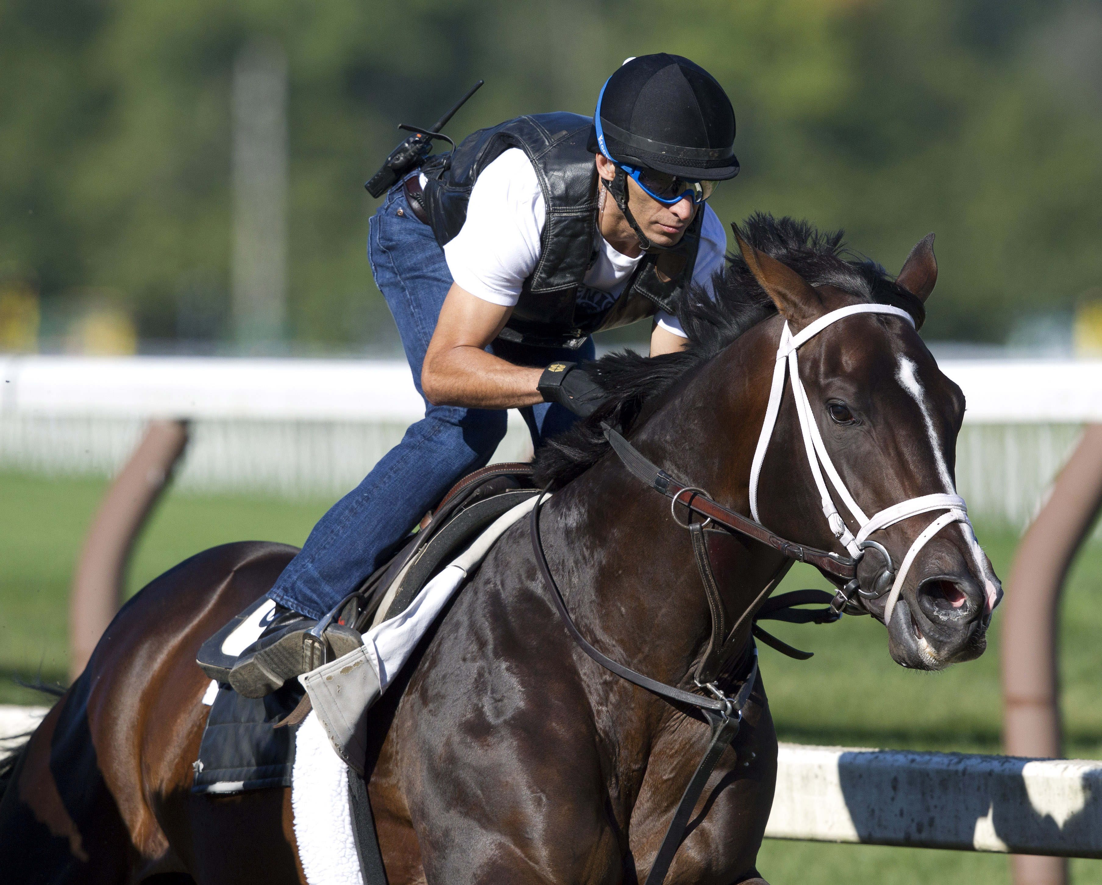 Verrazano