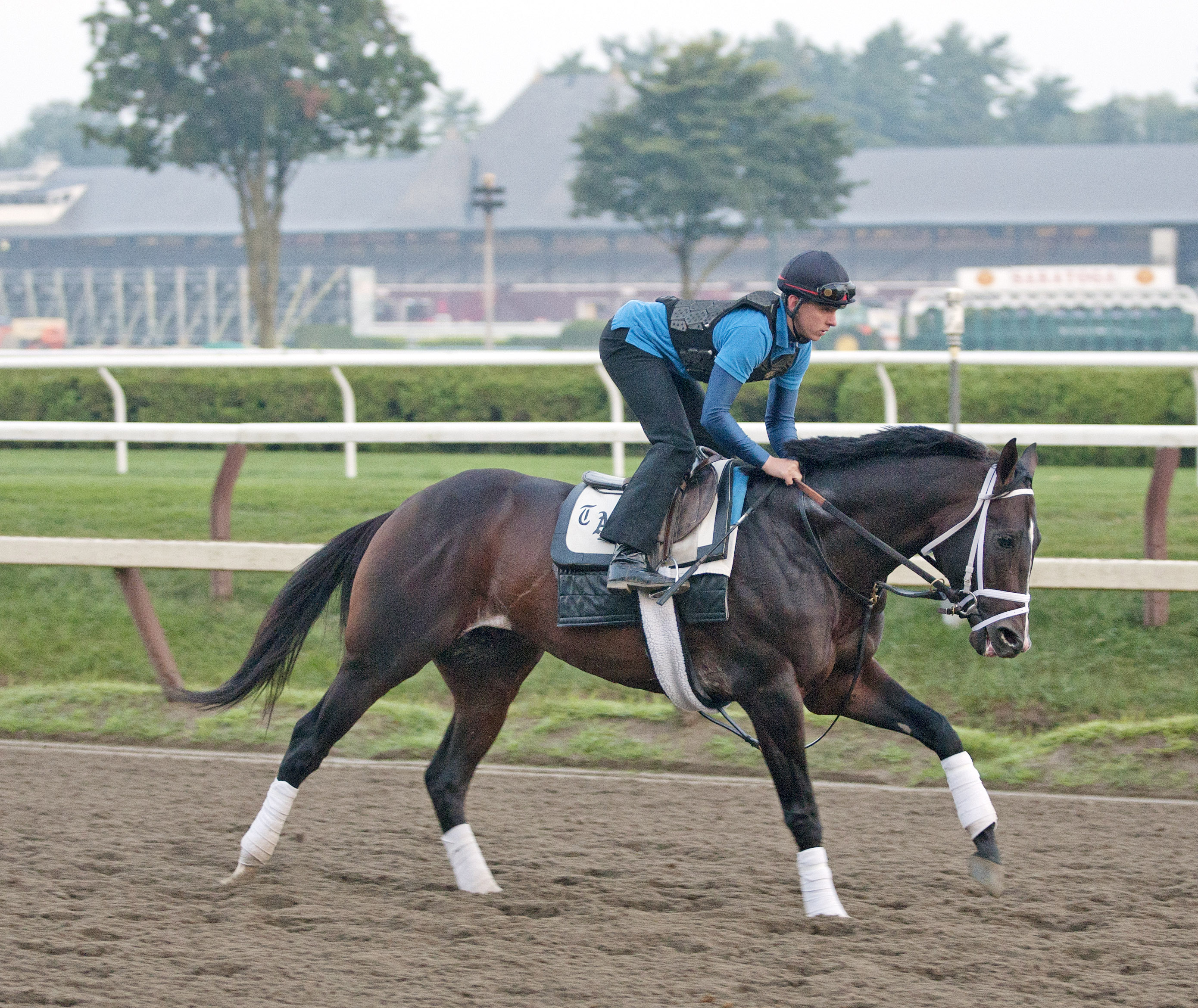 Verrazano