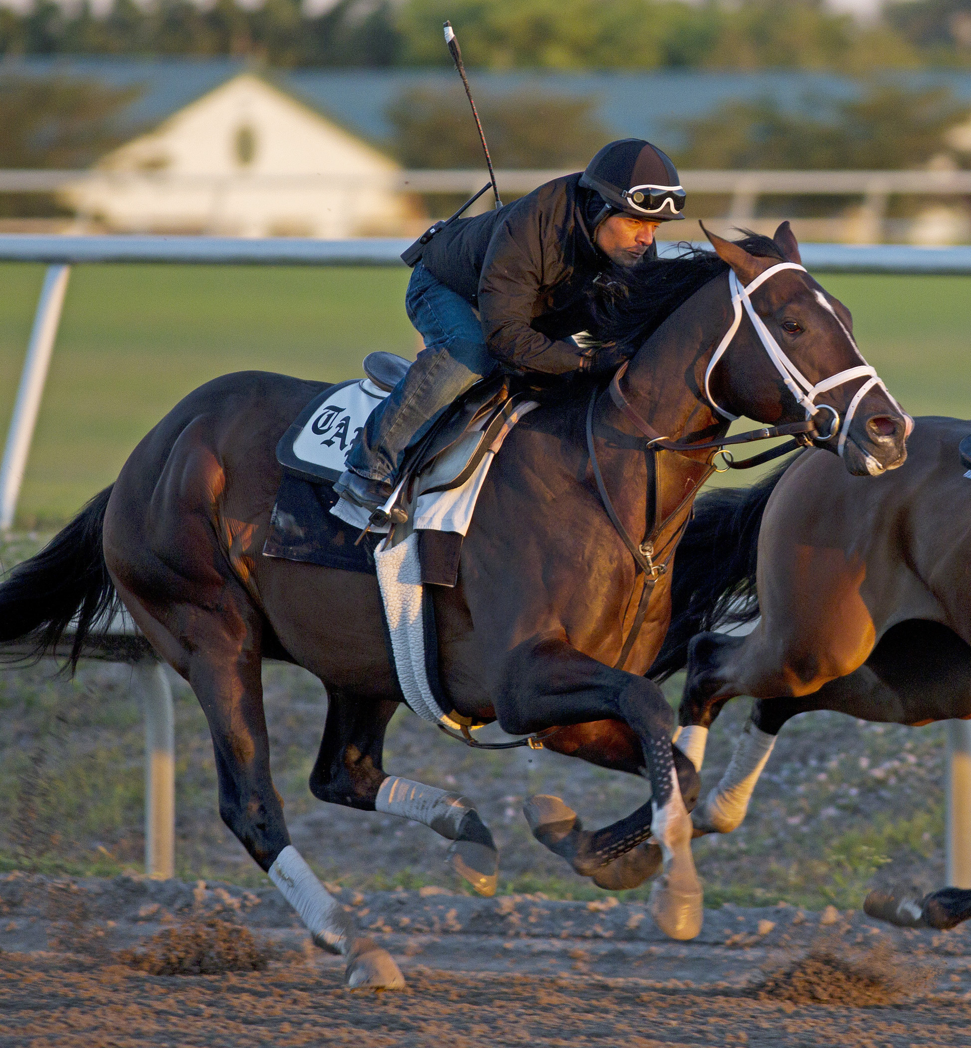 Kentucky Derby Future Wager: Field 8-5 Pool 2 favorite as Saturday wagering begins