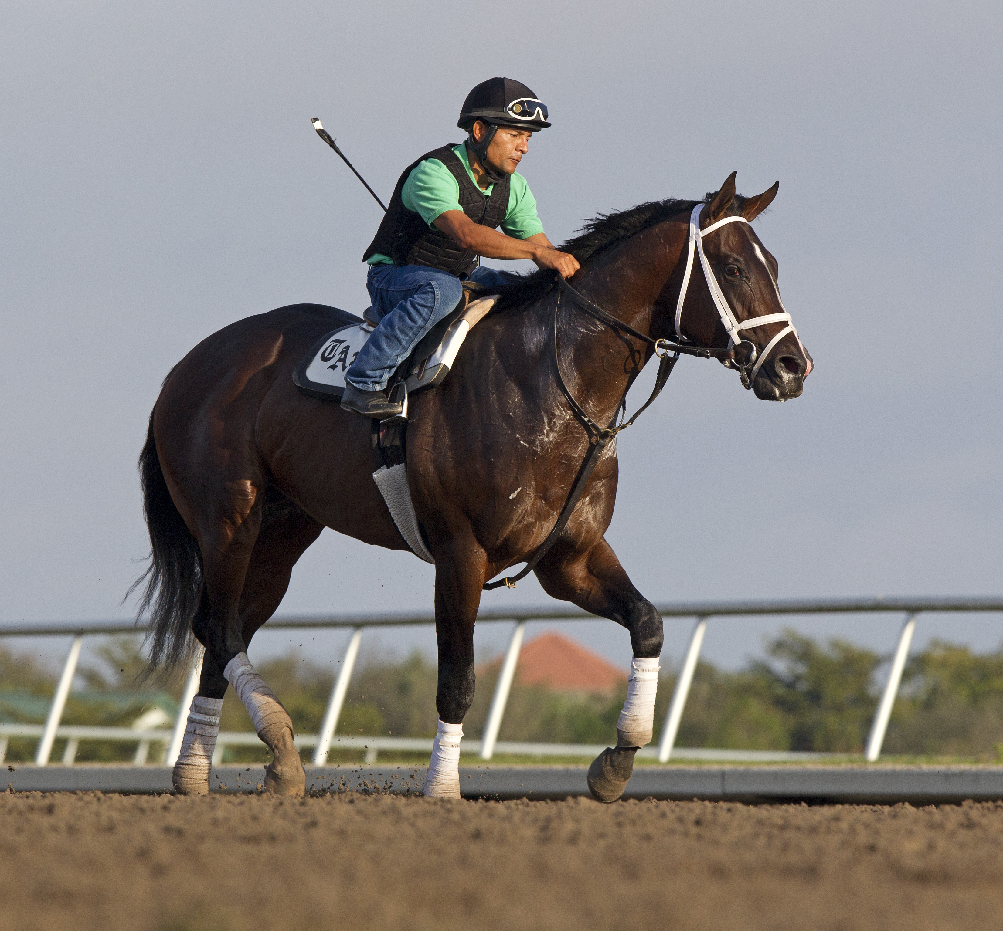 Verrazano