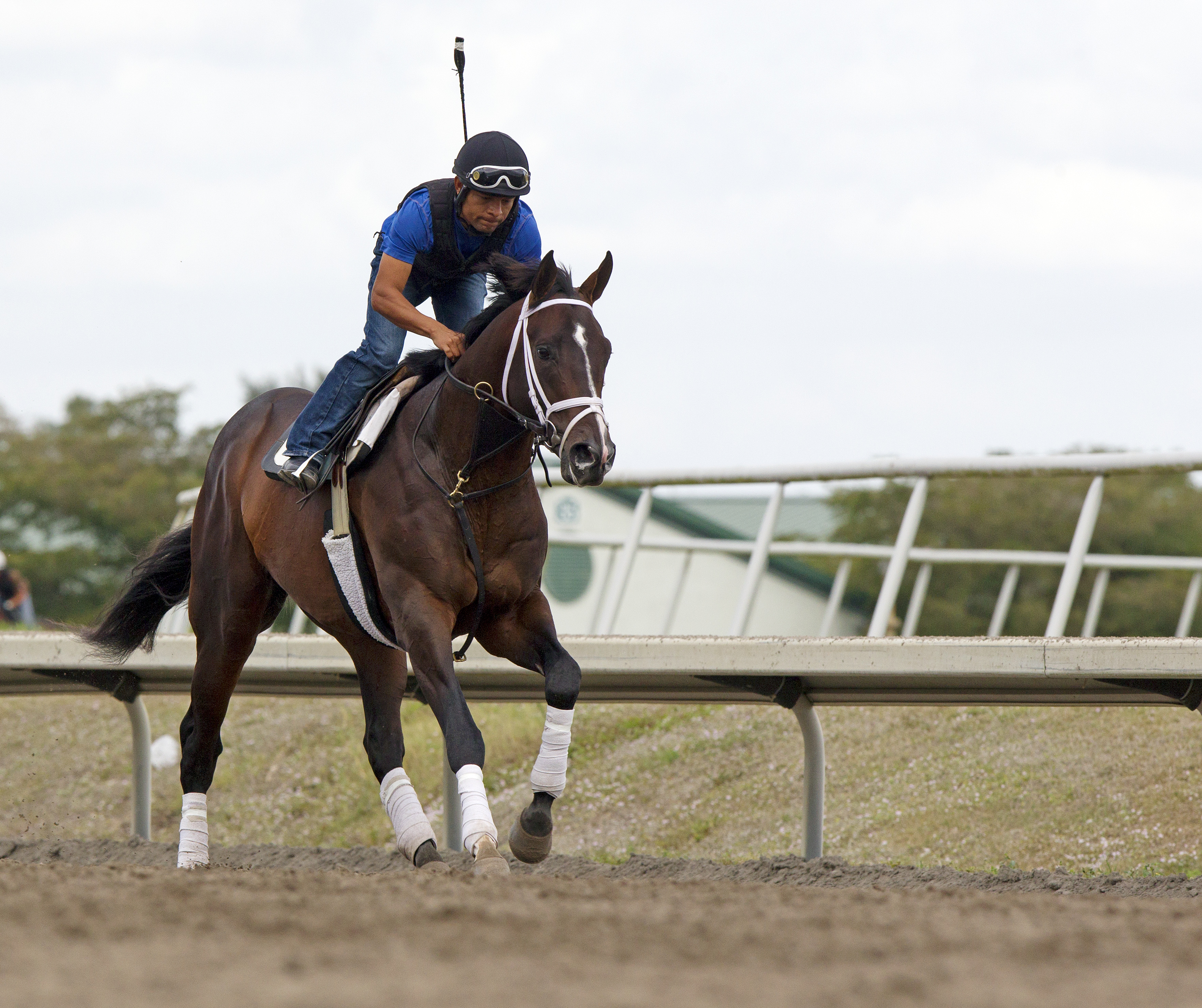 Verrazano at Palm Meadows