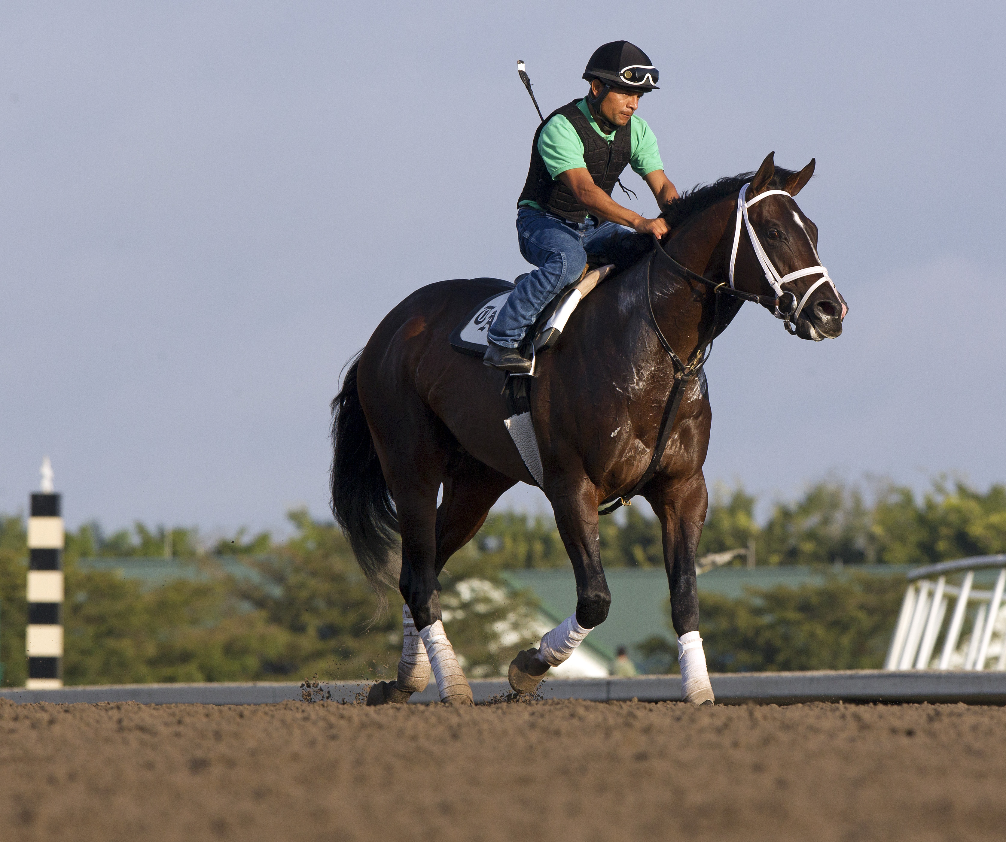 Verrazano 2-2013