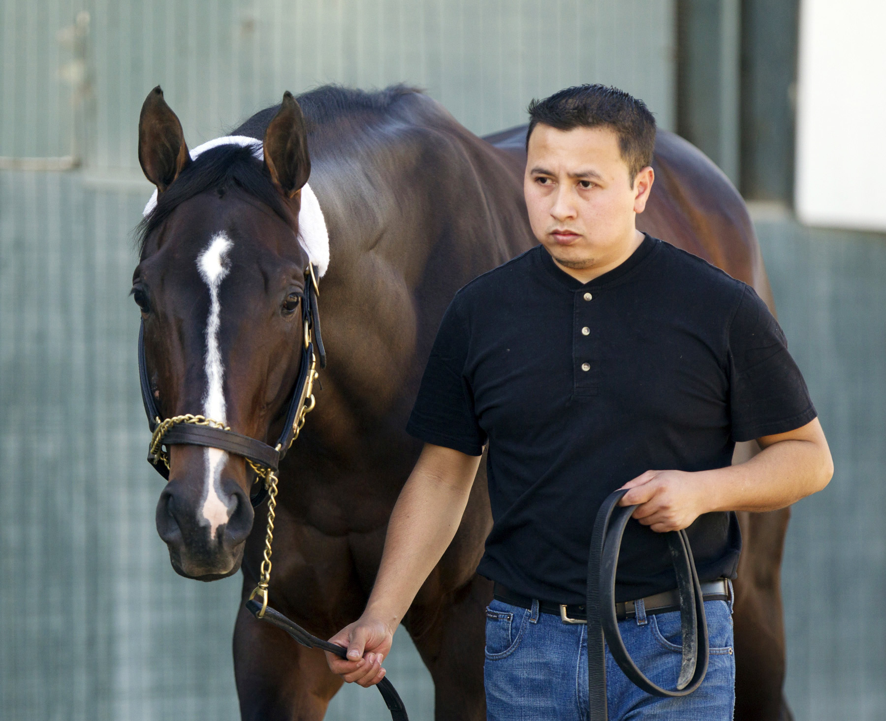 Verrazano