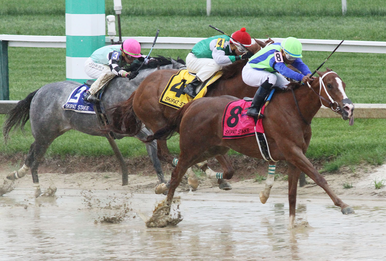 Vertical Oak wins the 2018 Skipat