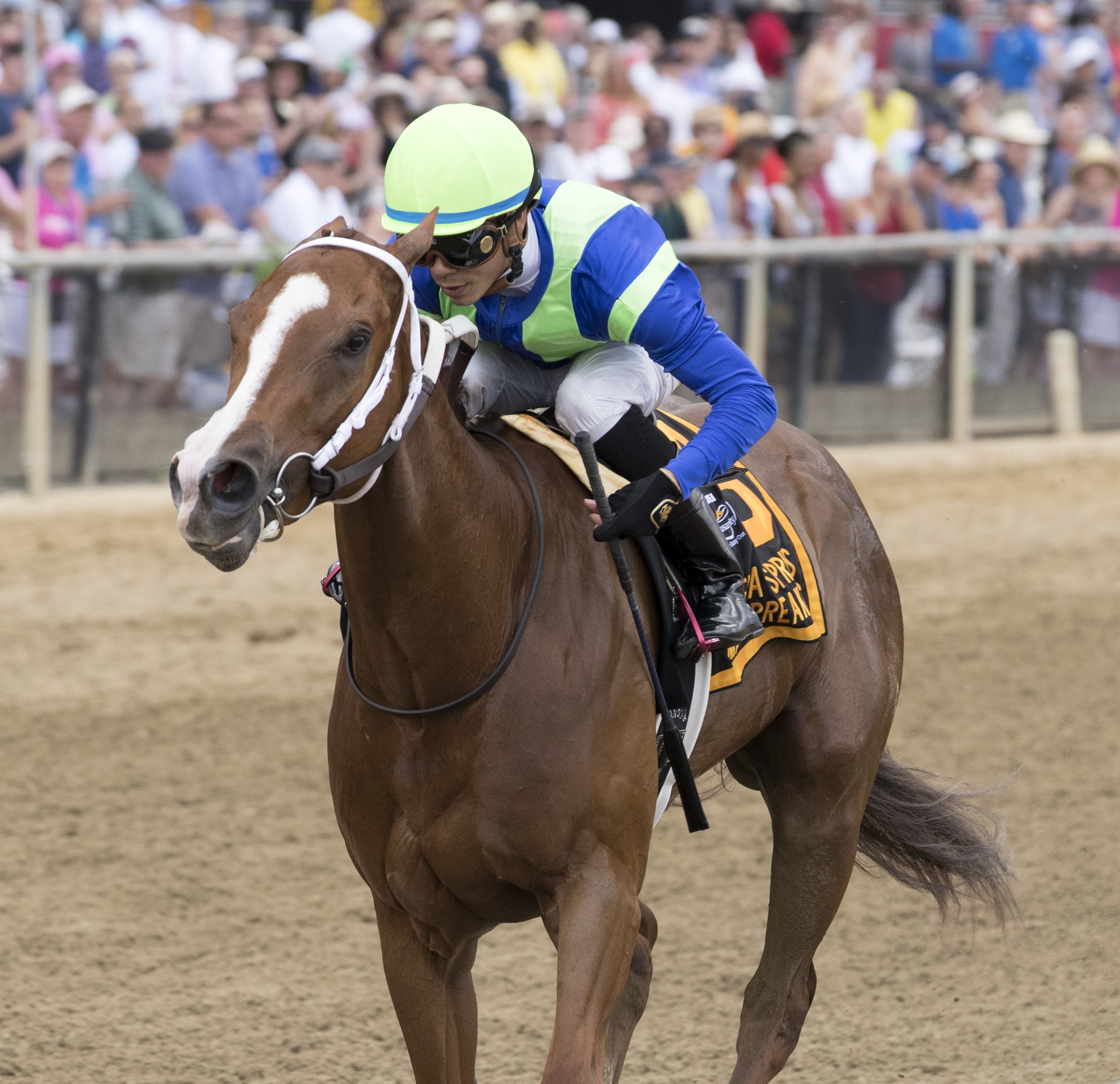 Vertical Oak wins the Miss Preakness