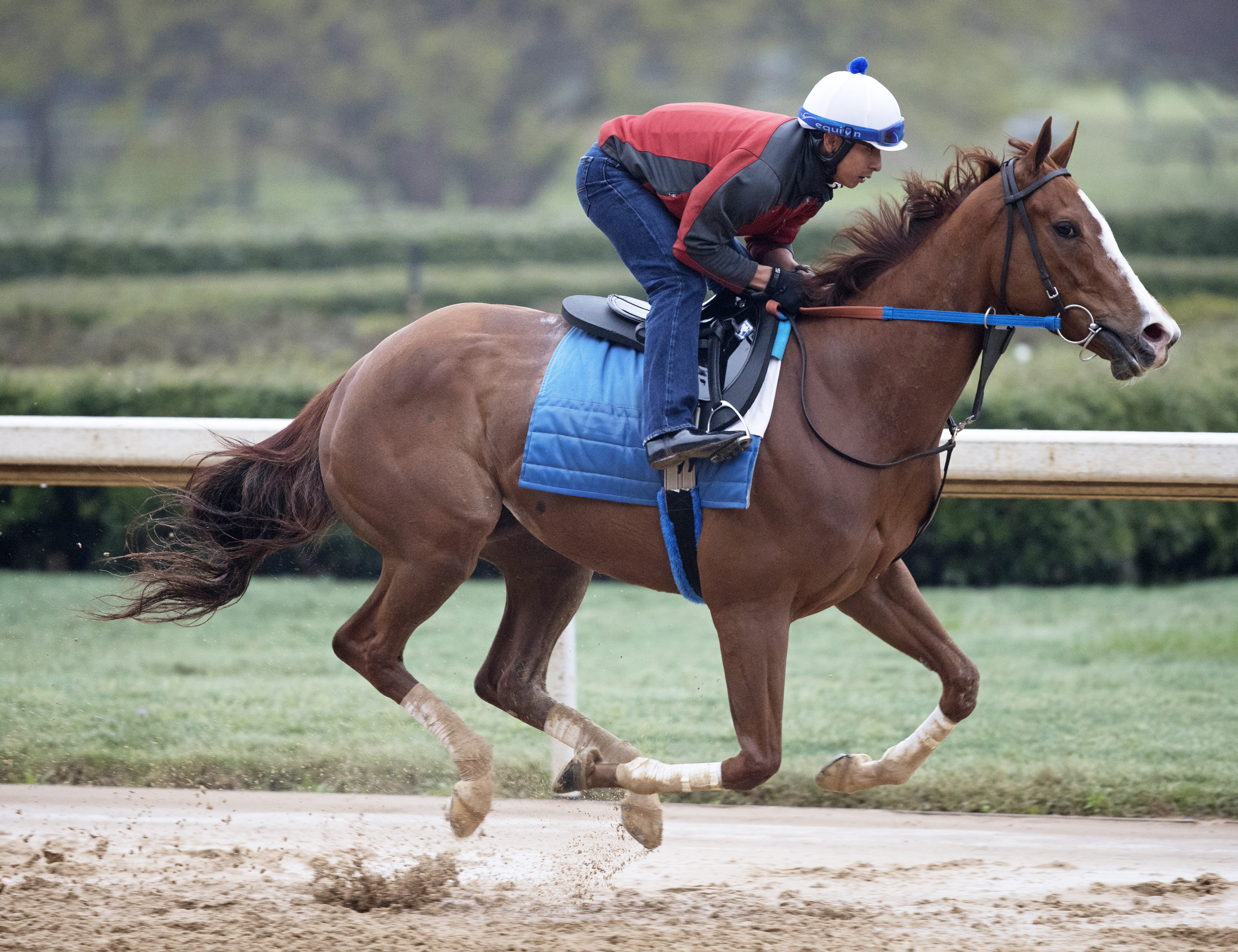 Vertical Oak trains at Oaklawn on March 19