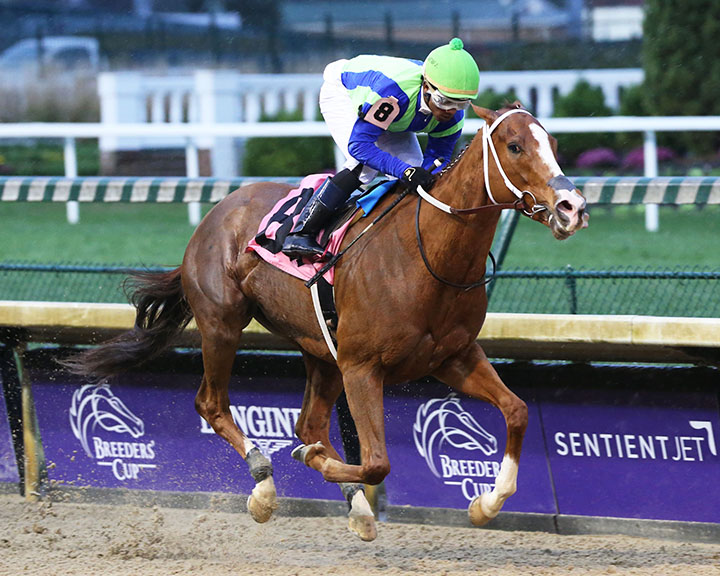 Vertical Oak wins the Dream Supreme Stakes